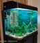 Aquarium Carousel 2