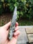 Pounamu Douglas creek Googd Quality carving slab $1 reserve MAY DEALS Carousel 4