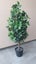AS NEW! Artificial decor tree in pot. Entrance? Show room? Carousel 1