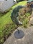 Stunning Moss Agate Moon $1 reserve Carousel 1