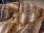New Single Dark Brown Real NZ Possum Full Fur Throw - No Reserve! - B6356 Carousel 3