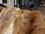 New Single Dark Brown Real NZ Possum Full Fur Throw - No Reserve! - B6356 Carousel 4