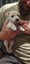 WESTIE X PARSON MIX Carousel 8