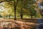 gallery view thumbnail