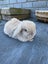 Pure Bred Mini Lop Kits Carousel 10