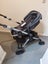Evenflo pivot Xpand stroller & capsule Carousel 4