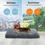 Pawz Pet Bed Dog Cat Calming Soft Warm Plush Mattress Cushion Mat Washable 24? Carousel 6