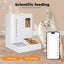 Pawz 2-in-1 Automatic Pet Cat Dog Feeder Water Set WiFi Smart Food Dispenser APP Carousel 5