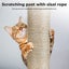 Pawz Cat Tree Scratching Post Scratcher Wood Condo Hammock Floor to Ceiling High Carousel 8