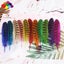 11color Pretty Premium 10-15cm/4-6inch Diy 100 PCS Female Pheasant Tail Feathers Carousel 1