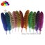 11color Pretty Premium 10-15cm/4-6inch Diy 100 PCS Female Pheasant Tail Feathers Carousel 3