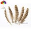 11color Pretty Premium 10-15cm/4-6inch Diy 100 PCS Female Pheasant Tail Feathers Carousel 4