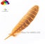 11color Pretty Premium 10-15cm/4-6inch Diy 100 PCS Female Pheasant Tail Feathers Carousel 5