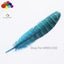 11color Pretty Premium 10-15cm/4-6inch Diy 100 PCS Female Pheasant Tail Feathers Carousel 6