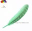 11color Pretty Premium 10-15cm/4-6inch Diy 100 PCS Female Pheasant Tail Feathers Carousel 8