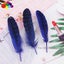 11color Pretty Premium 10-15cm/4-6inch Diy 100 PCS Female Pheasant Tail Feathers Carousel 18