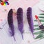 11color Pretty Premium 10-15cm/4-6inch Diy 100 PCS Female Pheasant Tail Feathers Carousel 19