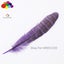 11color Pretty Premium 10-15cm/4-6inch Diy 100 PCS Female Pheasant Tail Feathers Carousel 20