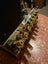 McIntosh MC275 MkVI Stereo Power Amplifier Carousel 7