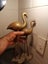 2x Mid century brass flamingos Carousel 7