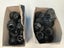 4x Packs of Voltex Nylon Multi-Hole Cable Glands 25mm Carousel 9