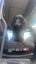 Dachshund male stud Carousel 5