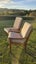 Mid Century pair of Chairs Carousel 4