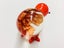 Handmade glass kiwi Carousel 3