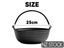 PTN NEW Cast Iron Pot Sale Sale Carousel 14