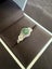 Natural Emerald Ring Carousel 5