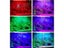 PTN NEW Adjustable LED Aquarium Lights Sale Sale Sale Carousel 12