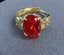 Red Rhinestone & Crystal Ring Carousel 3