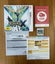 Pokémon X (Nintendo 3DS) Carousel 4