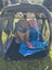 Mini Lop Rabbit Carousel 7