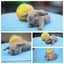 very cute Pure Bred mini Lops Carousel 10