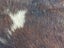 New Cow Hide Stunning Brown and White Cowhide Rug - No Reserve! - C154 Carousel 3