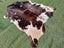 New Cow Hide Stunning Brown and White Cowhide Rug - No Reserve! - C154 Carousel 5