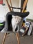 Adult White Cat for adoption in New Plymouth Carousel 3