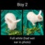Jersey Lop Kits- Jersey Wooly x Mini Lop Carousel 5