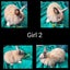 Jersey Lop Kits- Jersey Wooly x Mini Lop Carousel 7
