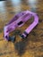 dog friendly co harness XS Carousel 3