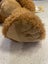 RUSS BEAR LARGE - 47cm little lost bear NEW Carousel 8