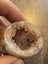 $1 reserve// Bulk of multi rough crystals and quartz geodes Carousel 3