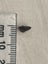 0.92ct Cut Garnet Carousel 9