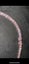 Custom one of a kind moissanite tennis necklace Carousel 4