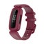 Fitbit Ace 3 Bands Kids Replacement Wristband Watch Band Strap Carousel 17