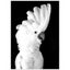 Loading Image 1 of 1