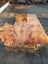 Rimu slabs...stunning Carousel 3