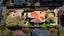 gallery view thumbnail