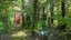 gallery view thumbnail
